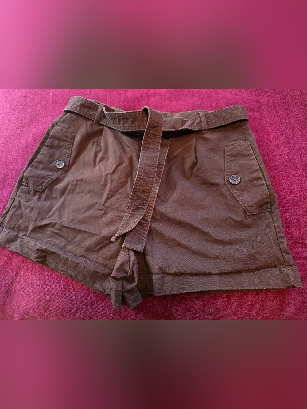 Banana Republic Factory Brown Tie-Waist Shorts 16